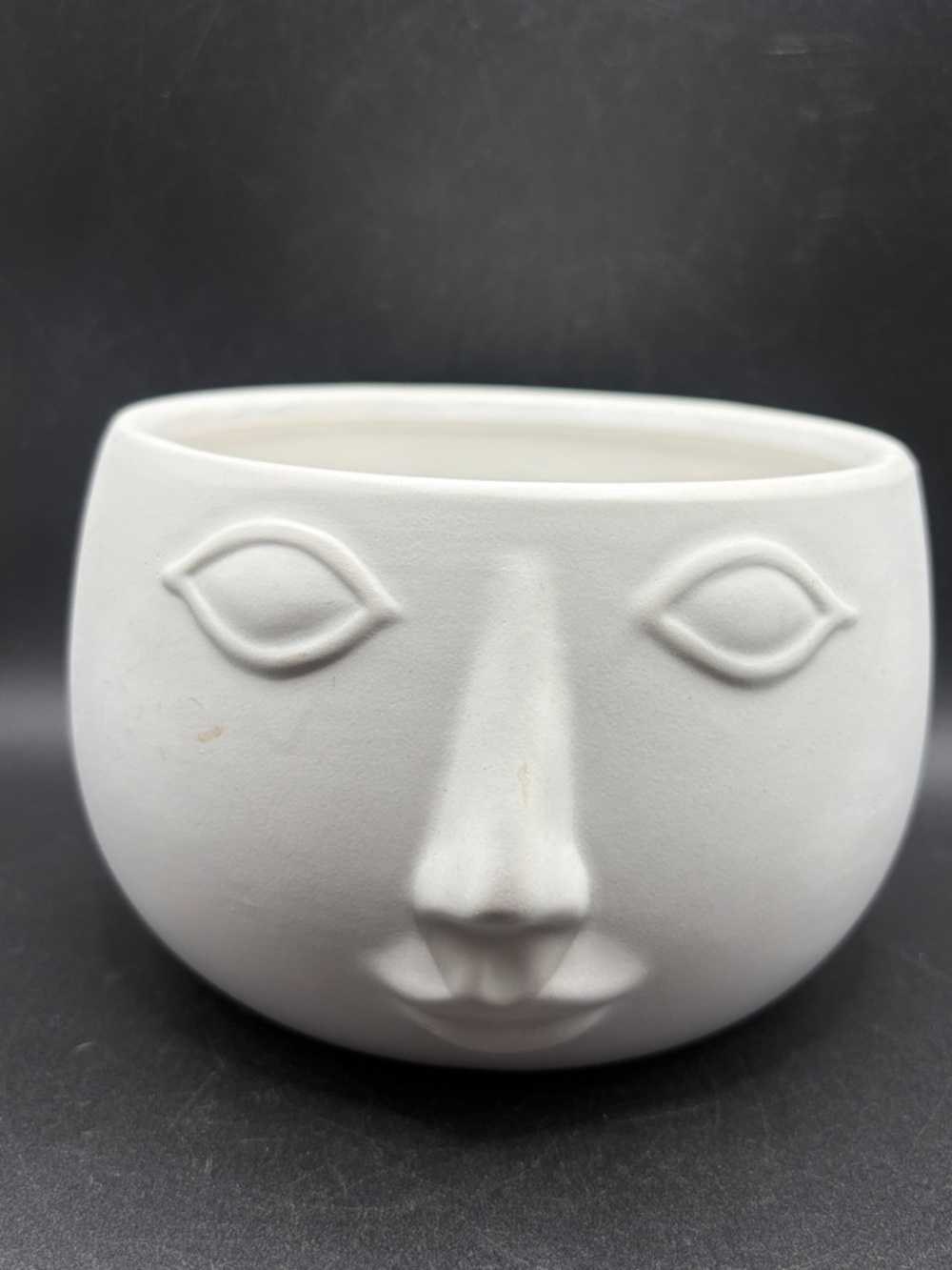 Face Figure Planter Vessel Matte White Minimalist Collectible Garden Decor